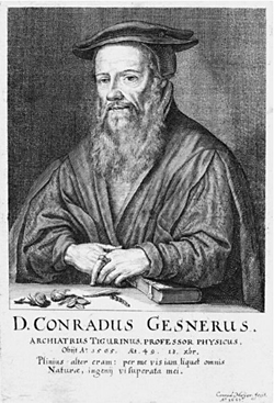 Konrad Gesner (1516-1565) schweizerischer Arzt, Naturforscher und Altphilologe, 1662, Stich von Conrad Meyer (1662), Wikimedia Commons